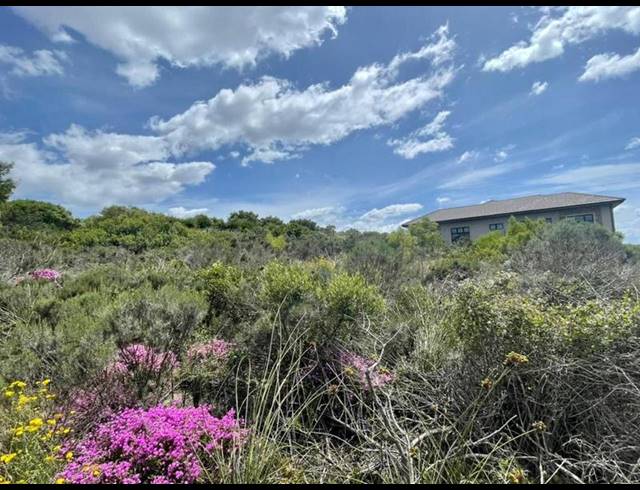 4 BEDROOM HOUSE FOR SALE IN NUM NUM CAPE ESTATE
